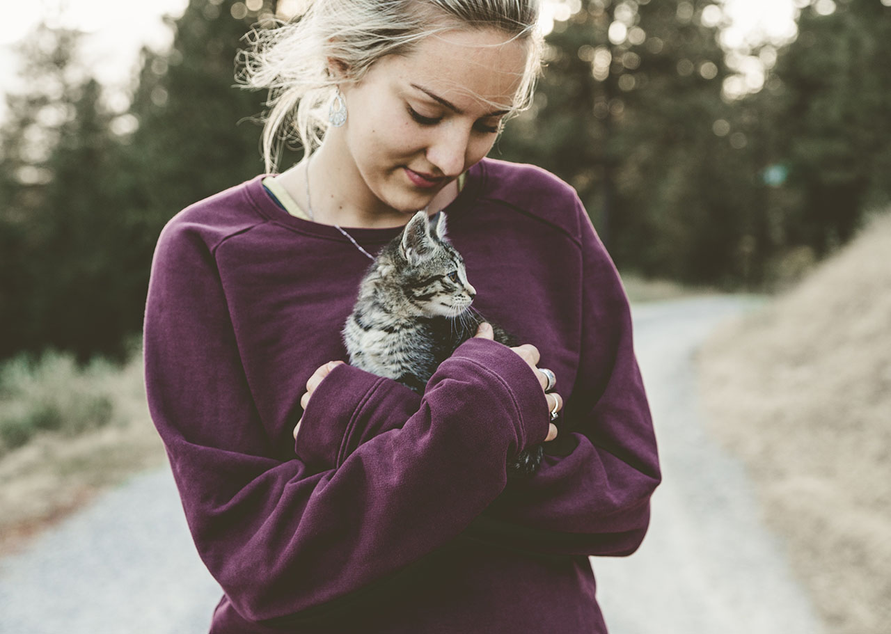 Uncover the Best Cat Litter for Your Feline Friend